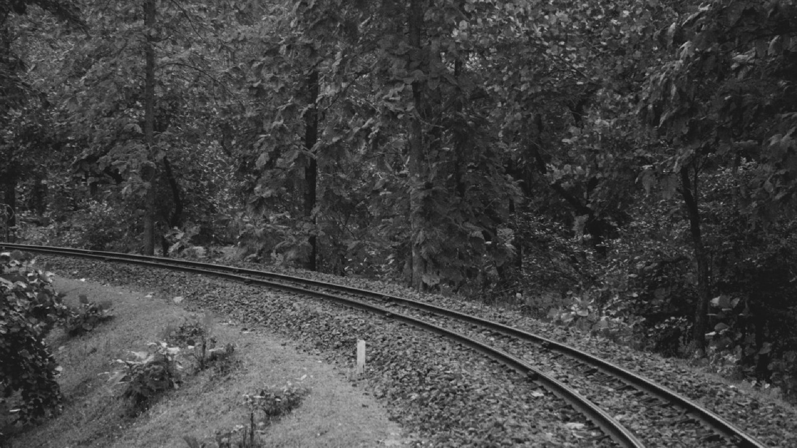 Kipling's Trains