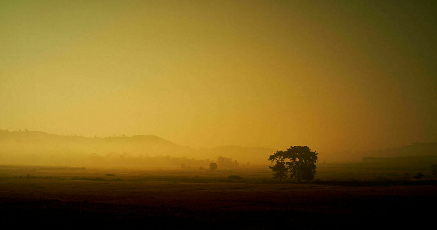 A sunrise across a field. Orissa, India